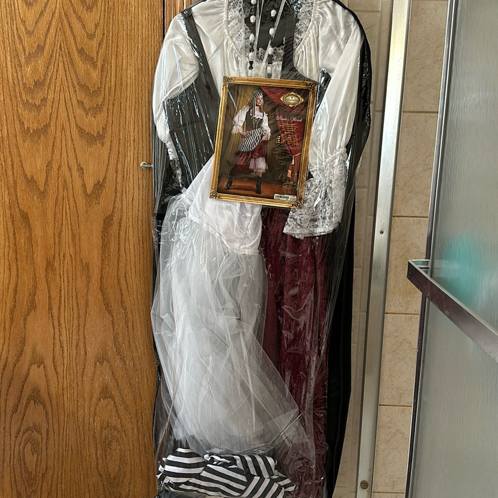 Pirates wench costume